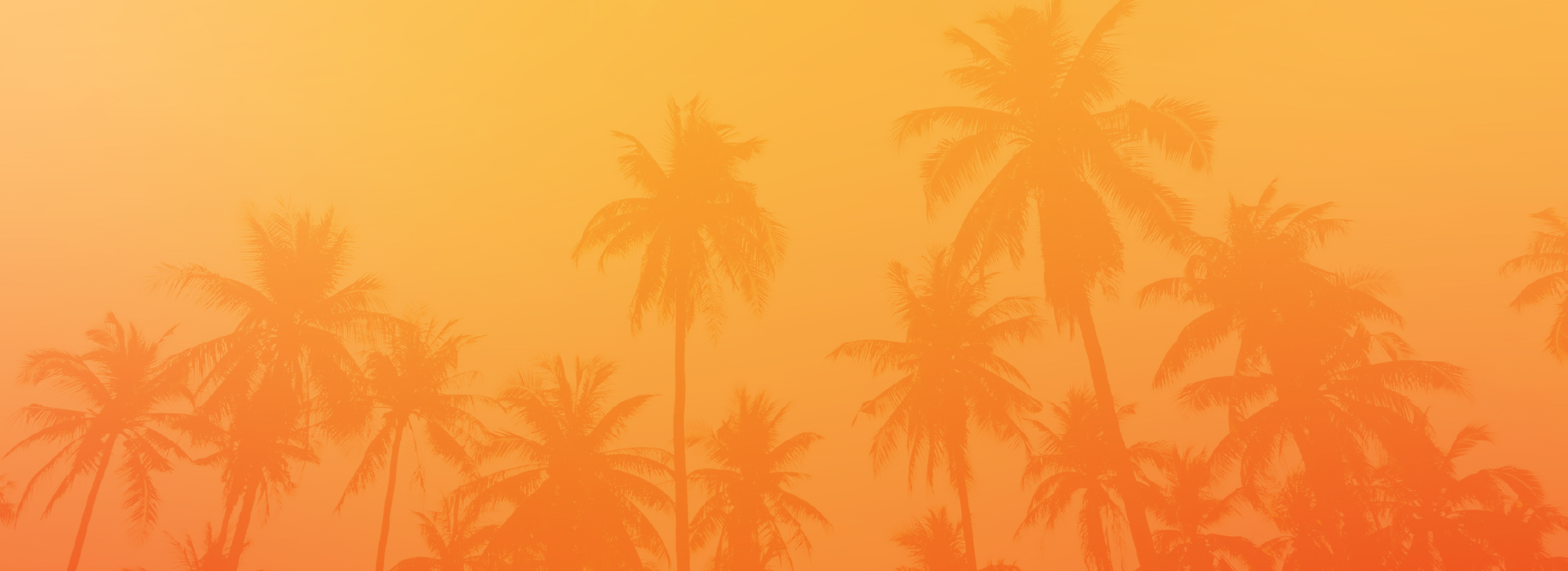 slider image 1621243260e1af0c20-0